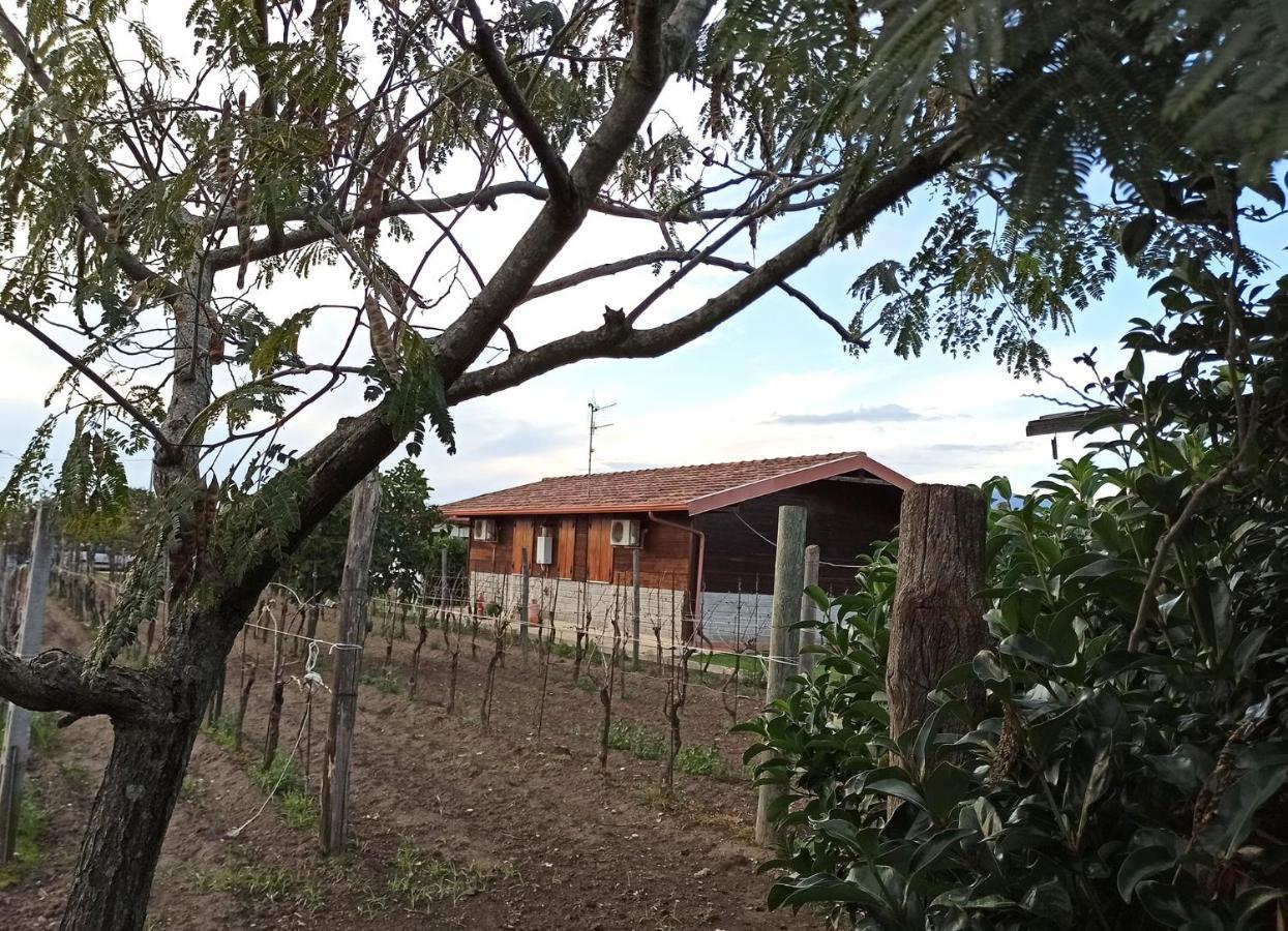 Вилла Agriturismo Borgo Baldassarre Cellole Экстерьер фото